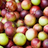 Camu Camu